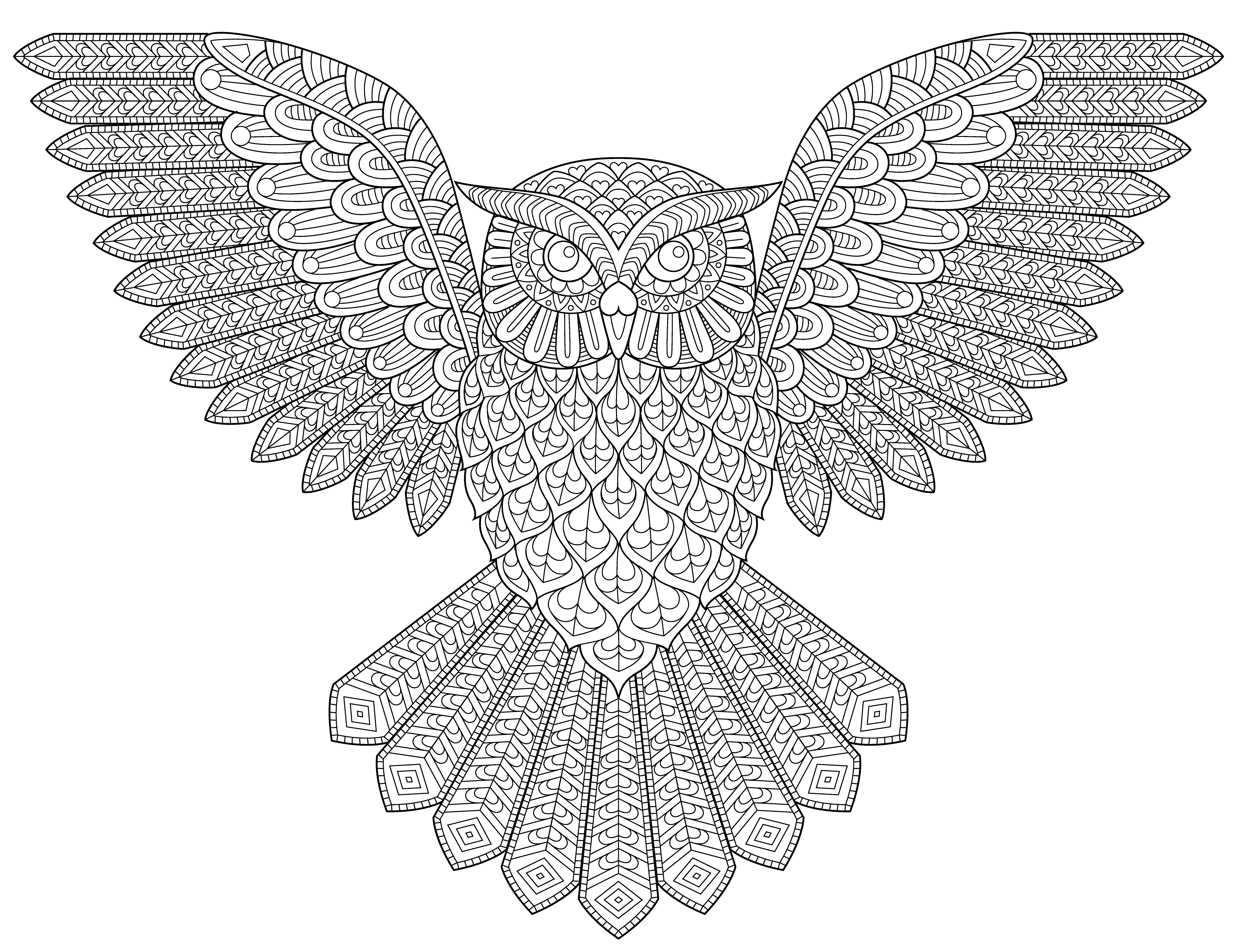 Flying Owl colouring in wall mural - Custom Wallpaper