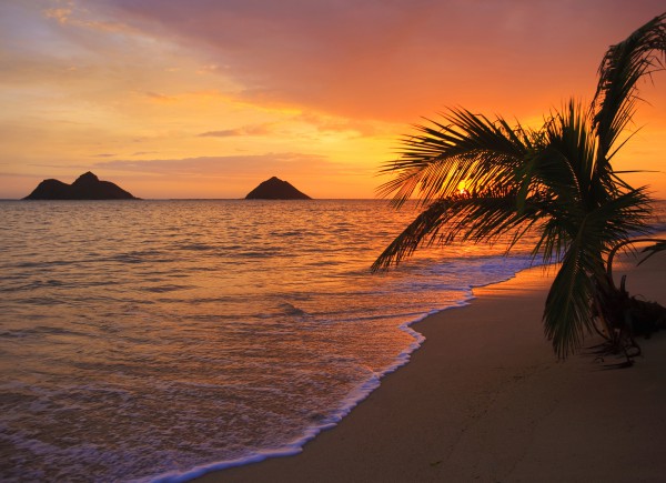 Pacific sunrise at Lanikai beach in Hawaii