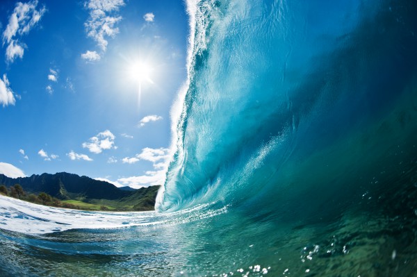 Wave in paradise