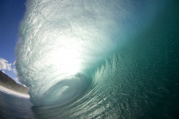 Hawaii Empty Wave 18