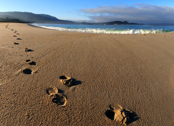 Footprints on beach