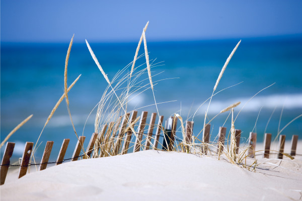 lake sand dunes