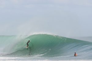 surfing