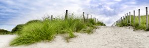Sand dune path