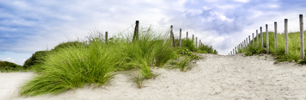 Sand dune path