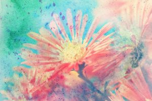 artwork with red aster's flowers