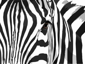La Zebra