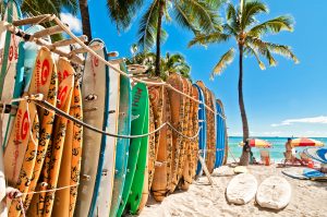 Surfboards in the rack at Waikiki Beach   Honolulu