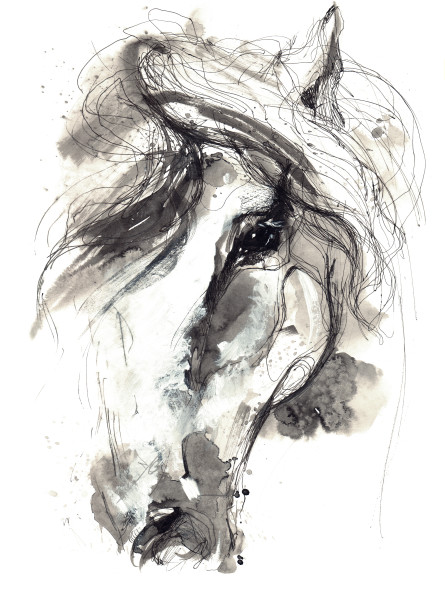 horse