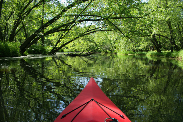 Scenic Kayaking