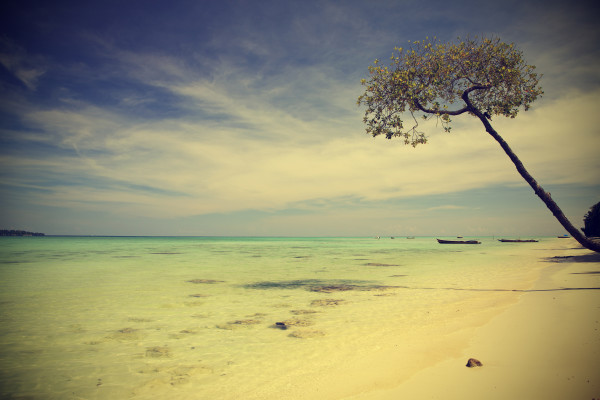 Beach with blue sky, vintage instagram retro style.