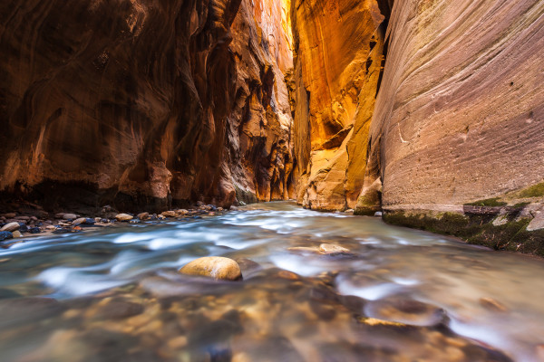 Wall street in the narrows trail, Zion national park