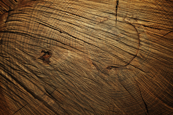 Dark wooden background