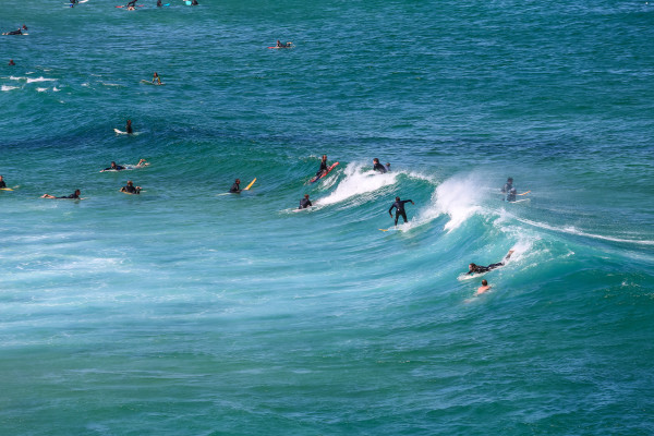 Surfeurs a Bondi beach