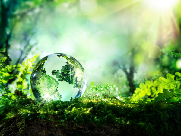 crystal globe on moss in a forest – environment concept