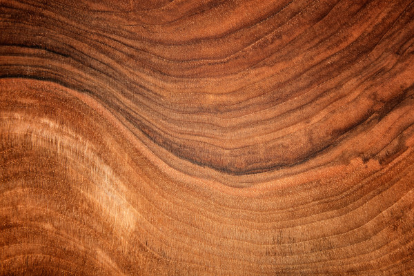 Texture of walnut