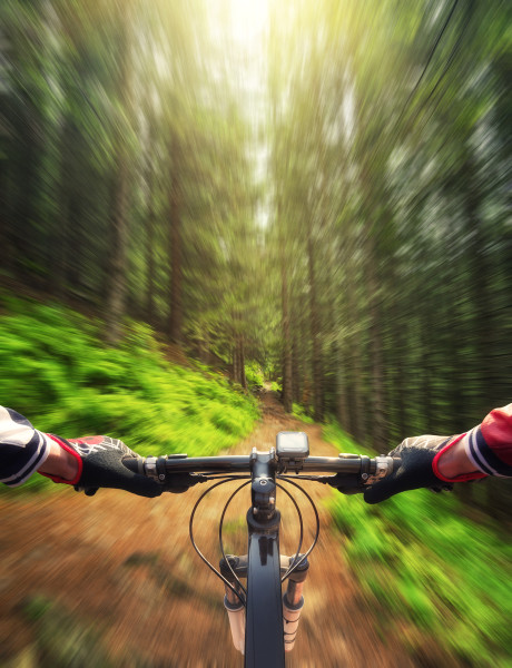 Ride in summer forest. Sport and active life concept