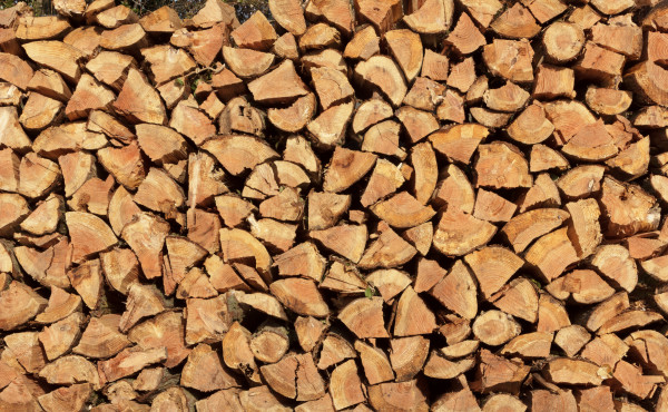 timber background