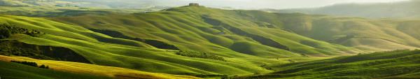 Green Tuscany hills – panorama