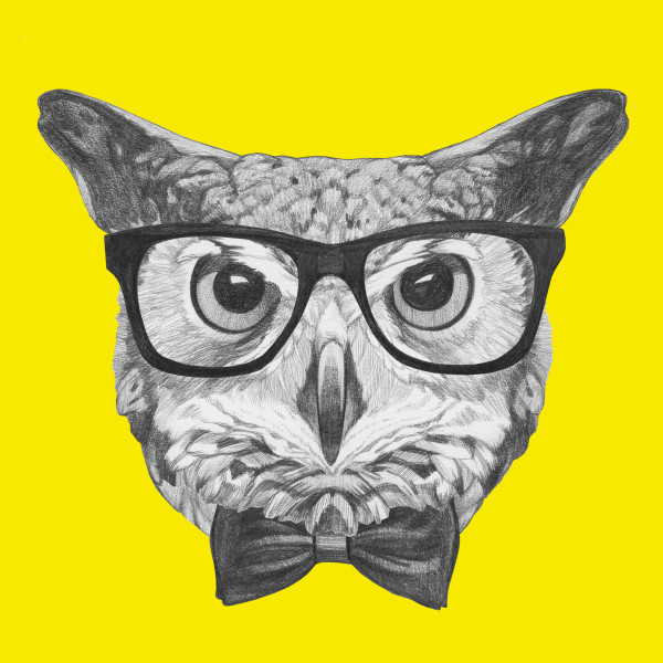 Original drawing of Owl with glasses and bow tie. Isolated on colored background.
