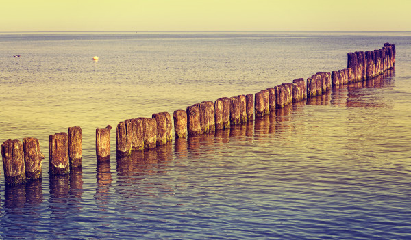 Retro toned wooden posts on the beach.