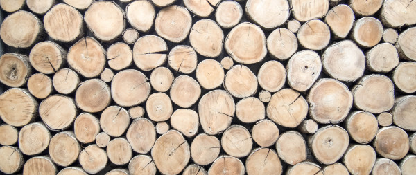 wallpaper wood log