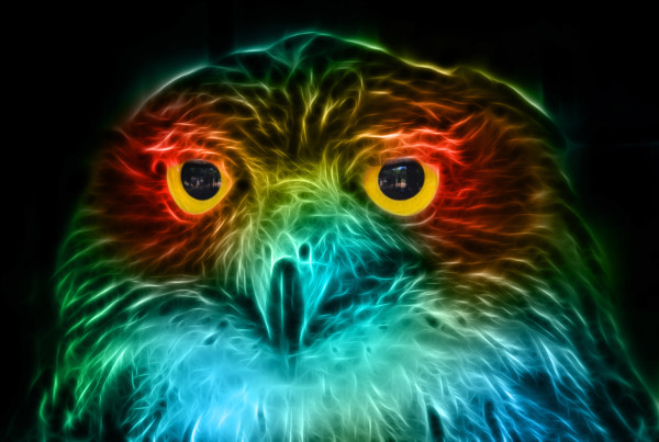 Digital fantasy drawing of an owl