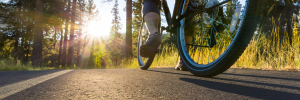 Bike on the asphalt path illuminated by sun.