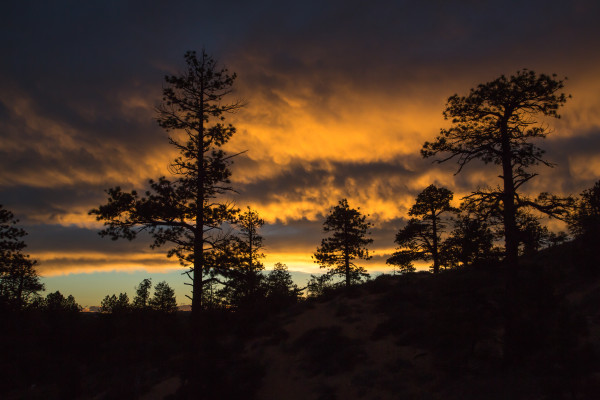 Clouds at sunset over a forest