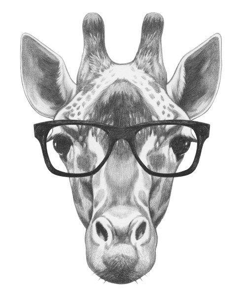 Portrait of Giraffe with glasses. Hand drawn illustration.