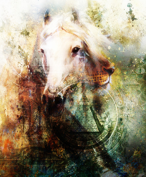 Horse and lion heads with one dollar collage. texture background