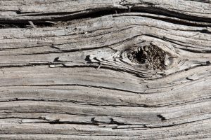 Gray weathered wood grain    full frame