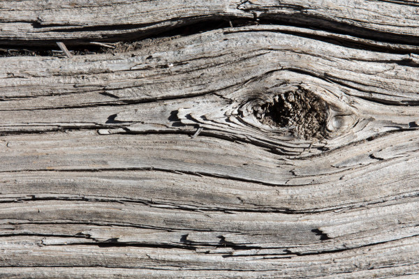 Gray weathered wood grain — full frame