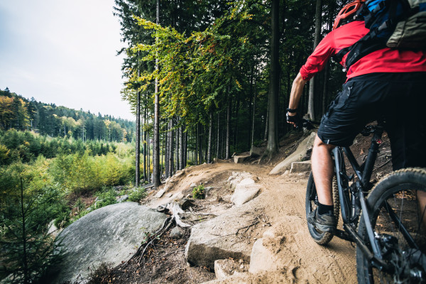 Mountain biker riding cycling in autumn forest