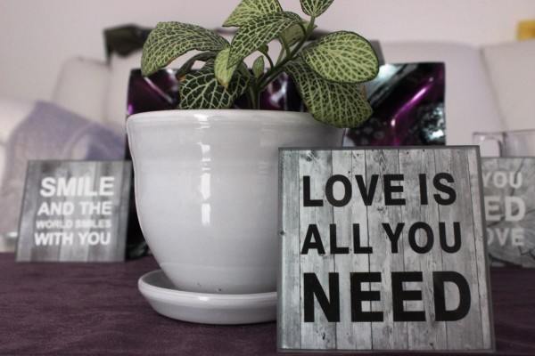 Quote – Love is all you need