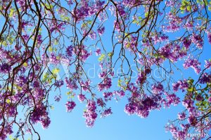 AdobeStock_93288177_WM