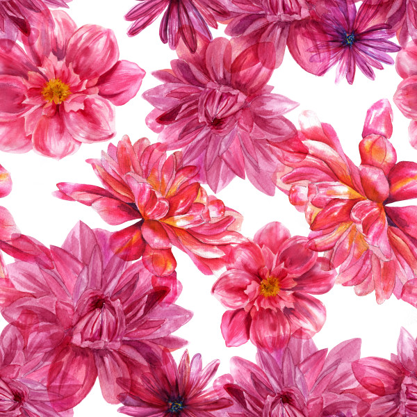 Watercolor purple dahlias seamless background pattern