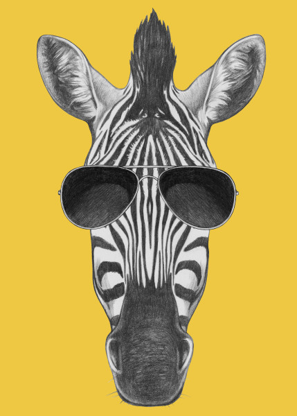 Portrait of Zebra. Hand drawn illustration.