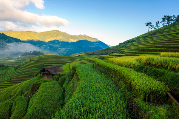 Terraced rice fields of ethnic people in Mu Cang Chai district of Lao Cai province, Vietnam. It is world cultural heritage in Vietnam.