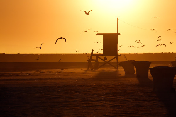 Lifeguard Tower and Sea Gull in Sunset