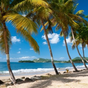 Self-Adhesive - 1500W x 1500H