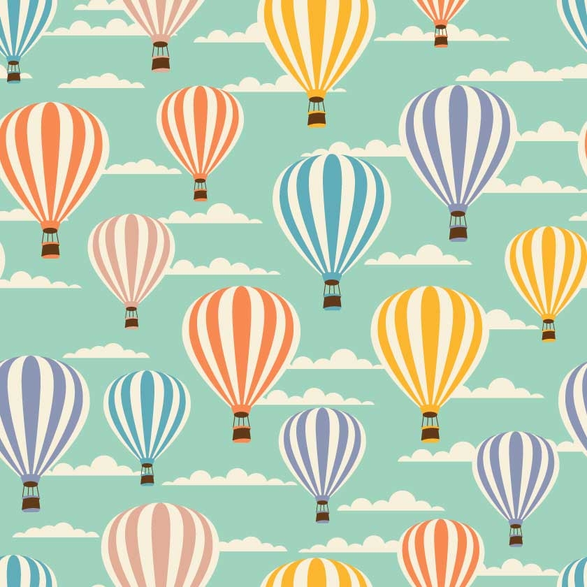 Hot Air Balloons 9752