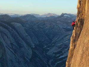 Self-Adhesive - 1500W x 1000H