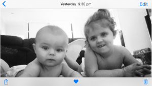 Self-Adhesive - 1740W x 1840H