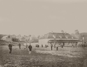 Self-Adhesive - 3600W x 1200H