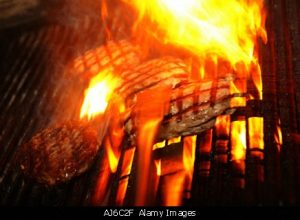 Self-Adhesive - 2000W x 1800H