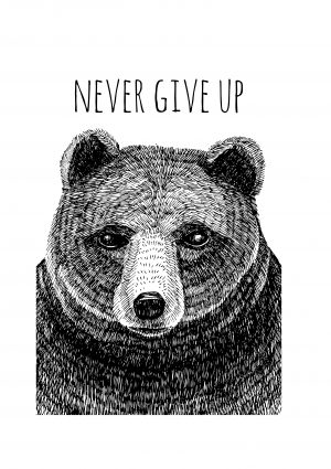 Never give