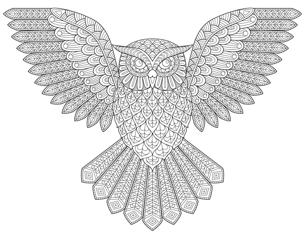 Flying Owl