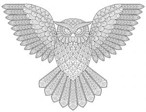 Flying Owl
