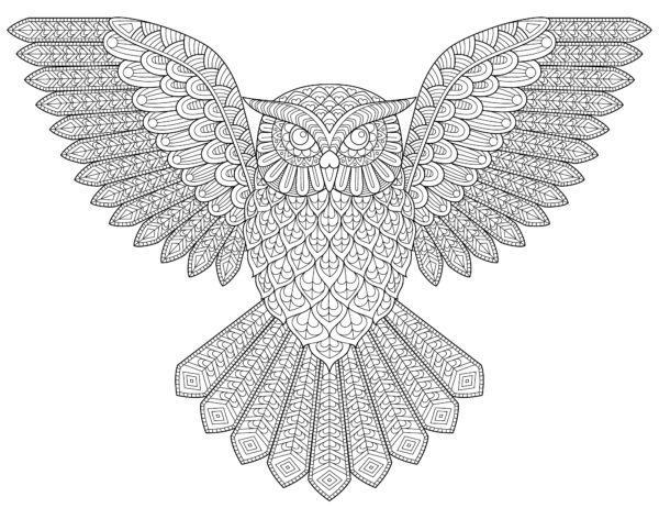 Flying-Owl-colouring-in-wall